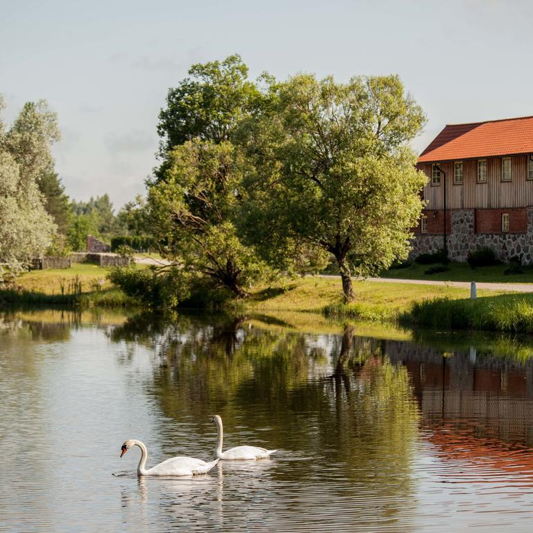 Marcienas Muiza&SPA Zewnętrze zdjęcie
